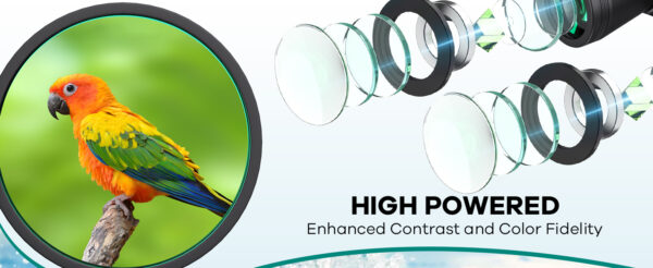 FLYANT Binoculars Official Online Website - FLYANT Binoculars Official ...